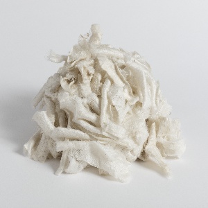 Peeled Ogarami Choshi