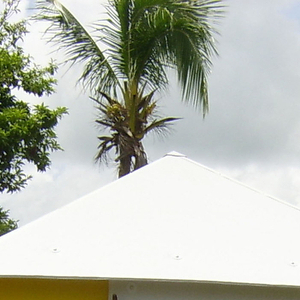 Global Village Shelter, 2004