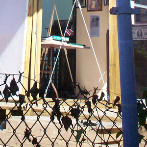 House of Dance & Feathers, 2006