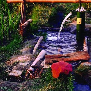 Bamboo Treadle Pump, 2006