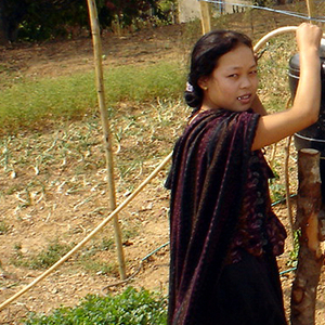 Drip Irrigation System, 2006