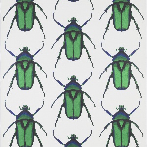 Sidewall, Beetle, 2016