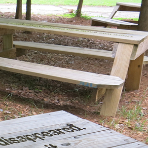 Fallen Fruit Public Picnic Tables, 2012