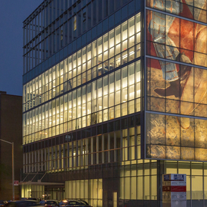 Harlem Hospital Pavilion Facade, 2005–12