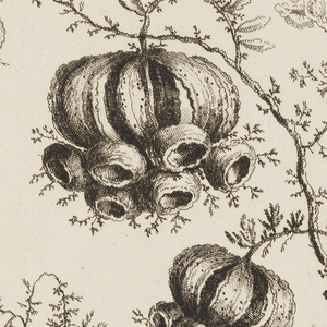 Print (France)