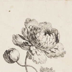 Print (France)