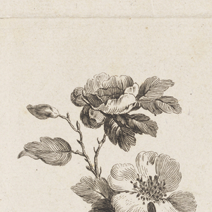 Print (France)