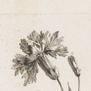 Print (France)