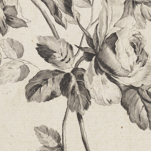 Print (France)