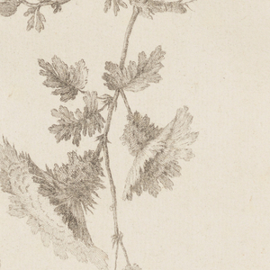 Print (France)
