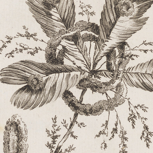 Print (France)