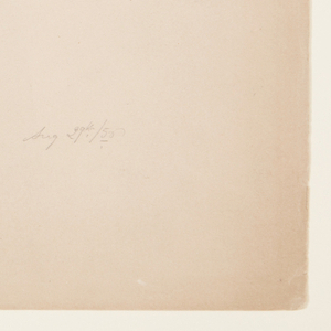 Drawing, Shore of Lake and Foothills of Mount Katahdin, August 29, 1856