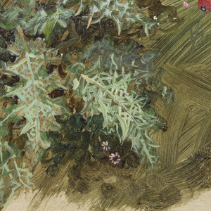 Drawing, Plant studies, 1865
