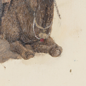 Drawing, Crouching dromedary, 1868