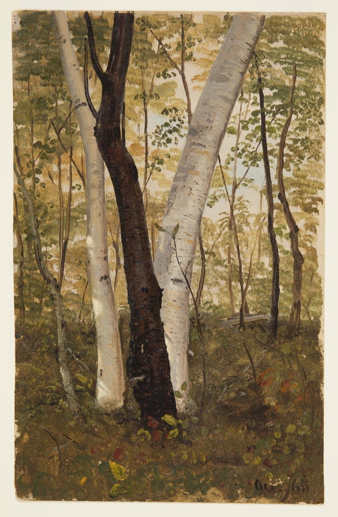 Drawing, In the Woods, Hudson, New York