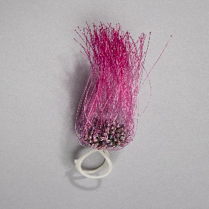 Rambutan Ring, 2003