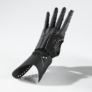Assistive Device, K-2, 2016