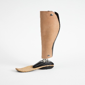 Lower Limb Prosthesis Prototype, Stance, 2016