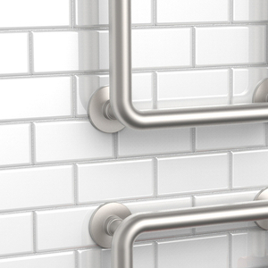 Prototype, Shower Trellis Grab Bar with Shelf, Sprayer Holder, and Hook, 2016