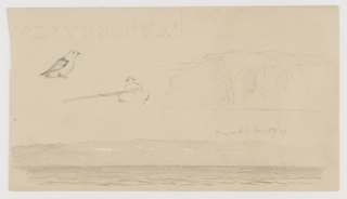 Drawing, Sketches from Newfoundland and Labrador, Canada