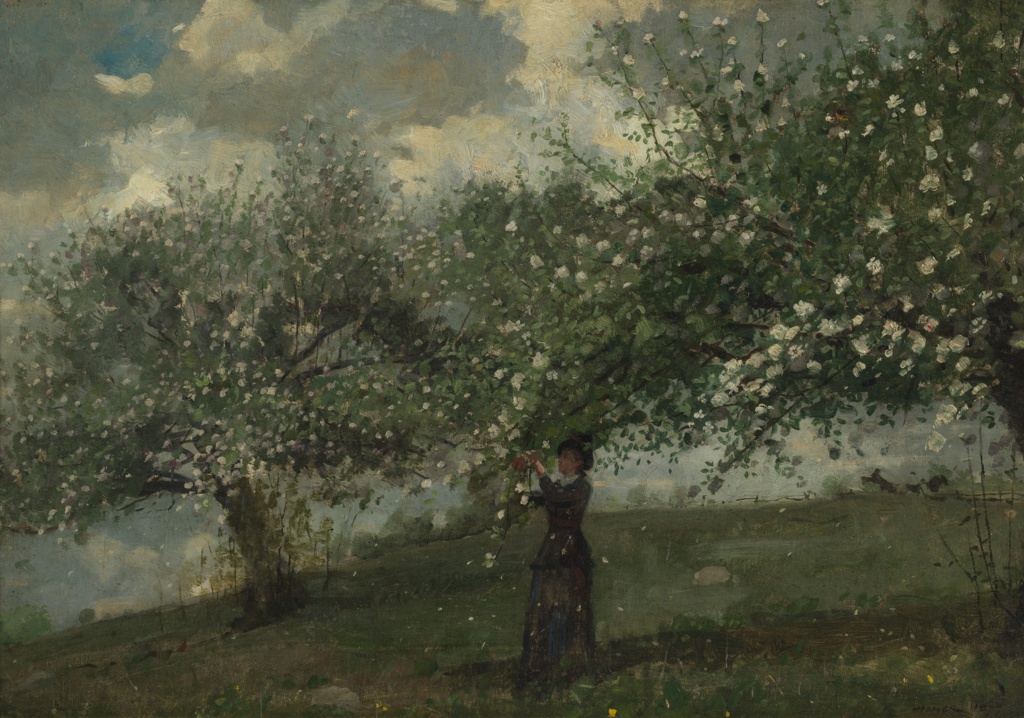 Painting, Girl Picking Apple Blossoms