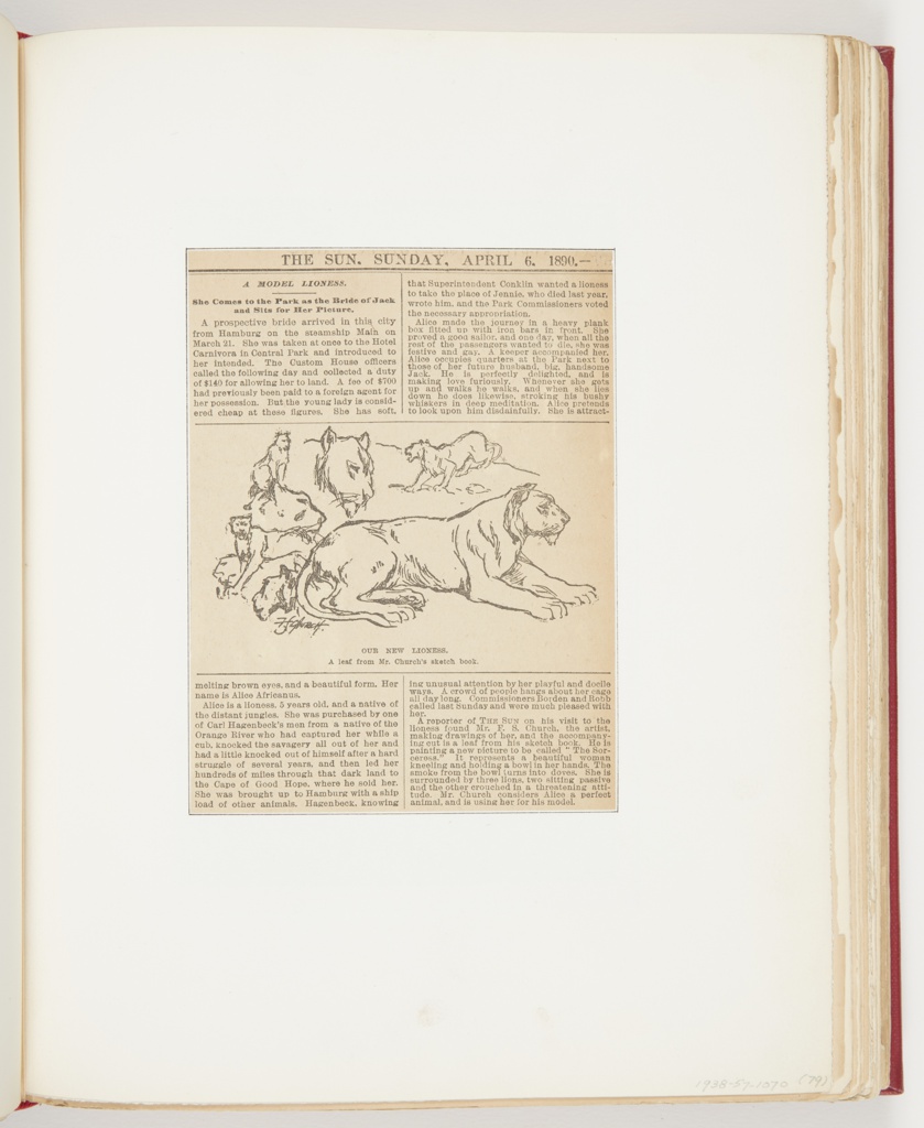 Ephemera, Our New Lioness: A leaf from Mr. Church's sketch book, Illustration for The Sun (April 6, 1890)