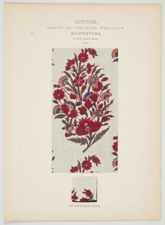 Folio, Cotton