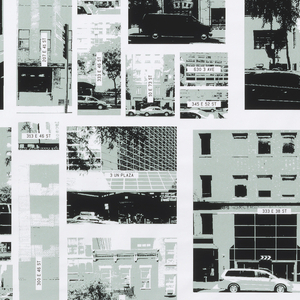 Poster, FD-4: Flocking Diplomats New York: Same Place, Multiple Times, designed June 2008