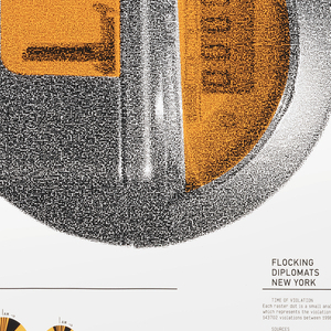 Poster, FD-5: Flocking Diplomats New York: Time of Violation, January 2008