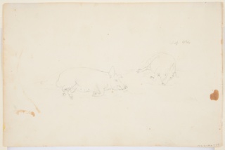 Drawing, Sunset Sketch, August and September 1844