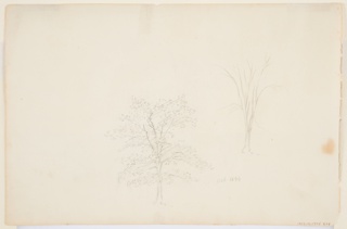 Drawing, Sketch of C. Waterman with a View of Catskill, New York