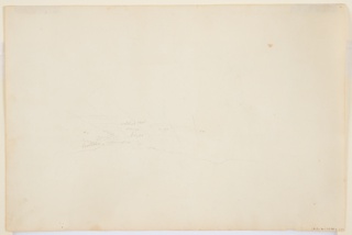 Drawing, Gnarled Tree Trunks and a Grape Vine, Catskill, New York