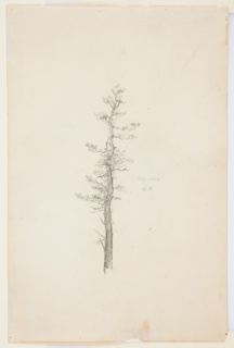 Drawing, Barn and Haystack with Sycamore Trees, Catskill, New York, September 1844