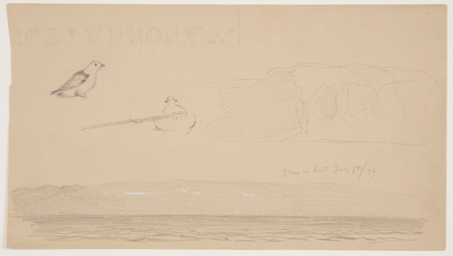 Drawing, Sketches from Newfoundland and Labrador, Canada
