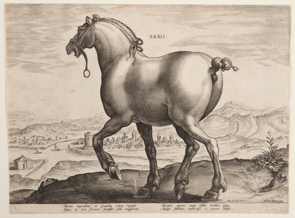 A horse with its left foot up in the air which gives it the appearance it is about to take a step forward. The horse has an elegantly styled mane and tail in curls. The horse is standing on a rock formation overlooking the town located beneath the formation. The town is separated into several sections by the river which has taken a circular path around the main section of the town. At the end of one section appears to be a hut which might serve as a lookout station for security purposes. There are two small boats on the river as well. In the main section of the town, there is a castle which serves as an outlook point and a towering structure in the middle of the town which appears to be a churchbell tower. Above the horse's name SAXO is inscribed. At the bottom of the print there are Latin inscriptions.