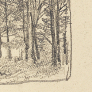 Sketchbook Folio, Small Study of Many Trees, 1885–90