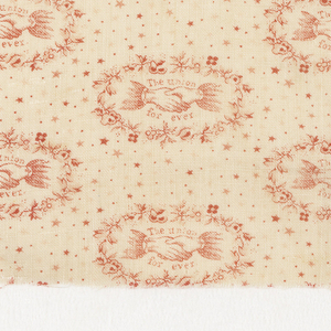 Textile, The Union Forever, 1864
