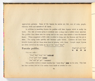 Illustrated Book