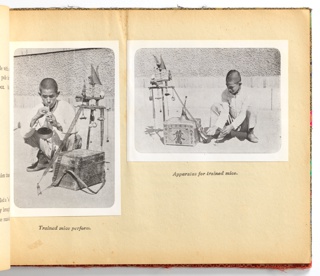 Illustrated Book