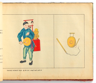 Illustrated Book