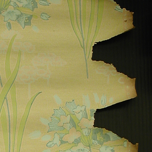 Sidewall (France), 1890–1914