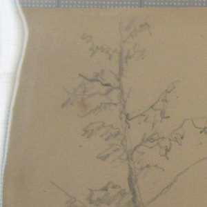 Drawing, Mt. Katahdin, woods, tree in foreground, 1876