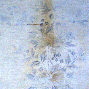 Frieze (USA), 1890–1900