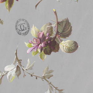 Drawing, Design for Wallpaper and Textiles: Flowers, 19th century