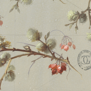 Drawing, Designs for Wallpaper and Textiles: Flowers, 19th century