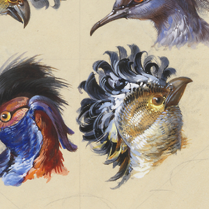 Drawing, Design for Wallpaper and Textile: Birds, 19th century