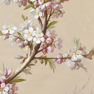 Drawing, Design for Wallpaper and Textiles: Flowers and Butterflies, 19th century