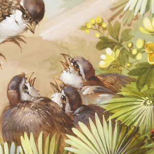 Drawing, Designs for Wallpaper and Textiles: Flowers and Birds, 19th century