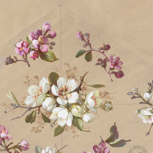 Drawing, Design for Wallpaper and Textiles: Flowers, 19th century