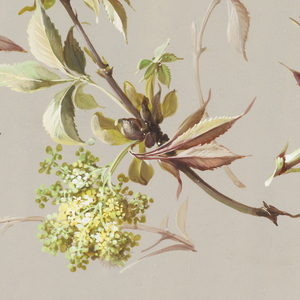 Drawing, Design for Wallpaper and Textiles: Flowers, 19th century